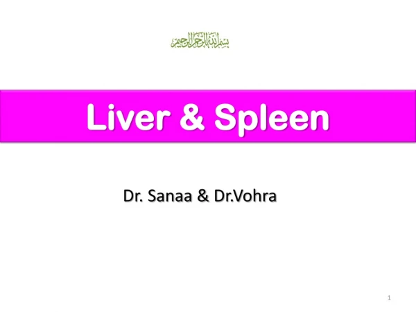 Liver &amp; Spleen