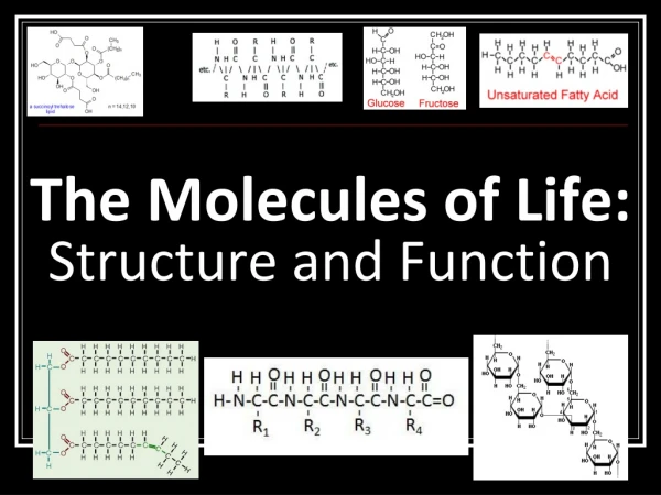 The Molecules of Life:  Structure and Function