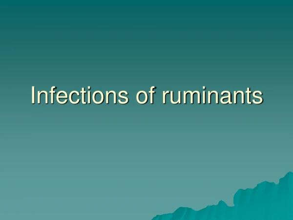 Infections of ruminants