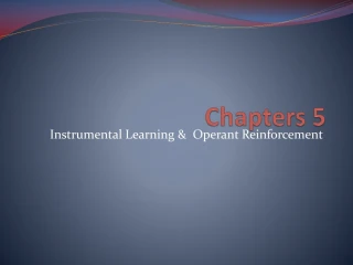 Exploring Operant Learning: Names and Theories - slide 1