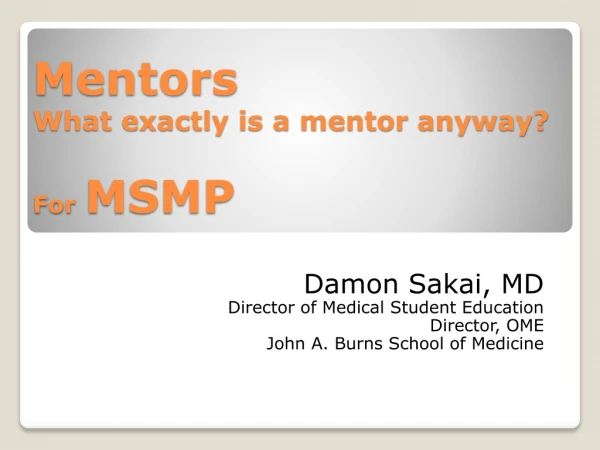 Mentors What exactly is a mentor anyway? For MSMP