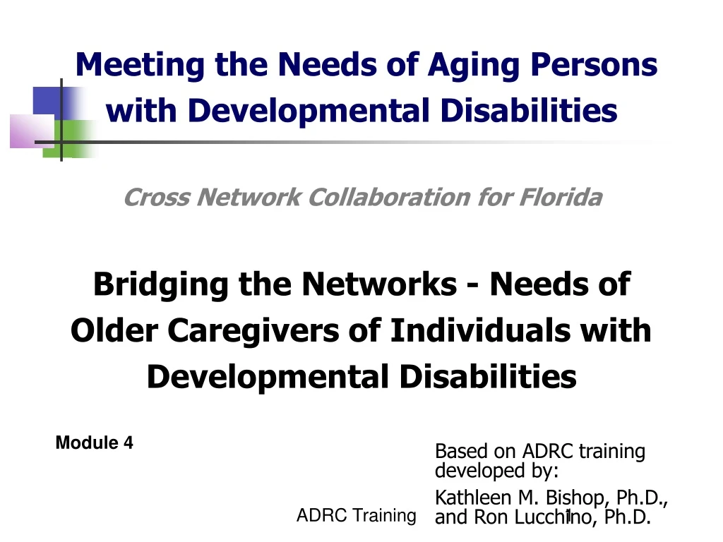 meeting the needs of aging persons with