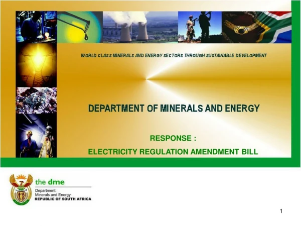 RESPONSE :  ELECTRICITY REGULATION AMENDMENT BILL