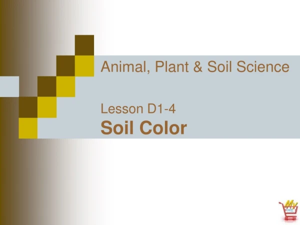 Animal, Plant &amp; Soil Science Lesson D1-4 Soil Color