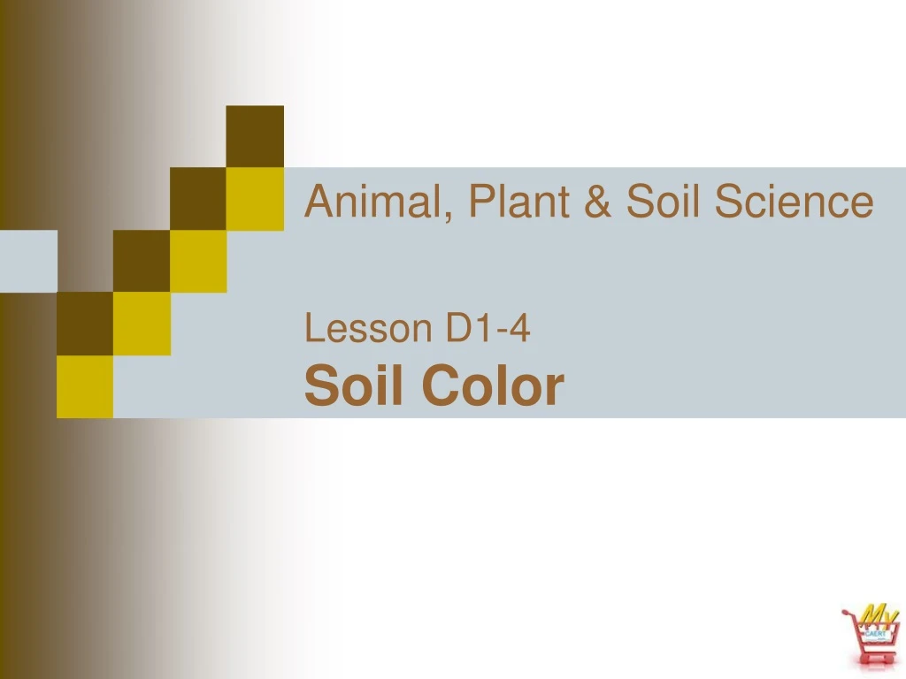 animal plant soil science lesson d1 4 soil color