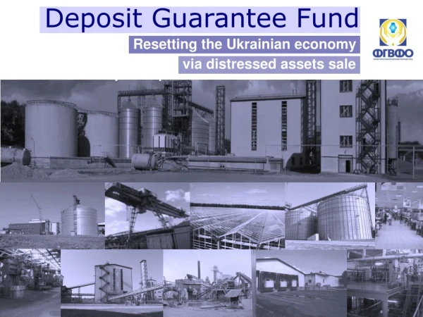 Deposit Guarantee Fund