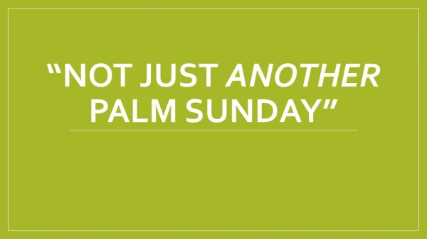 “Not Just  another  palm Sunday”