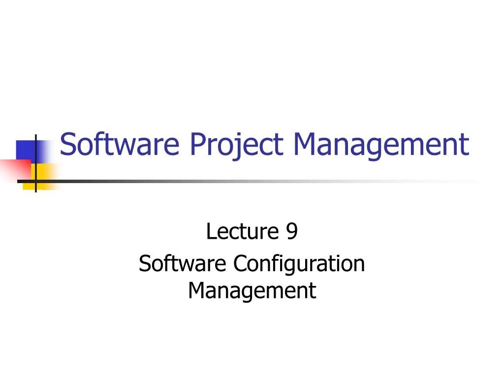 software project management