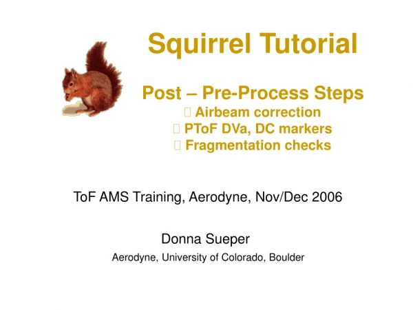 Squirrel Tutorial Post – Pre-Process Steps  Airbeam correction  PToF DVa, DC markers