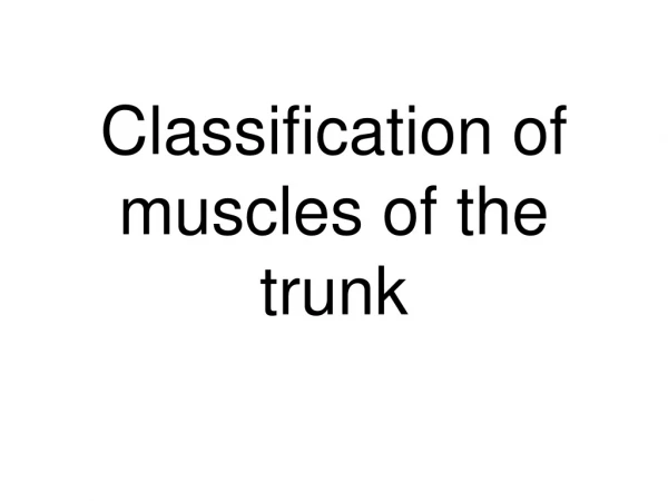 Classification of muscles of the trunk