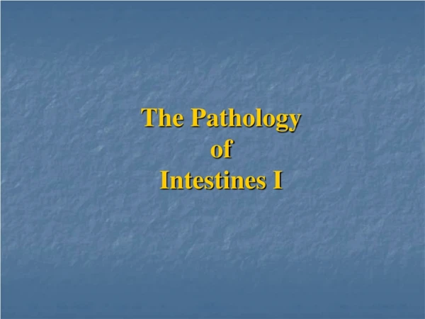 The Pathology  of Intestines I