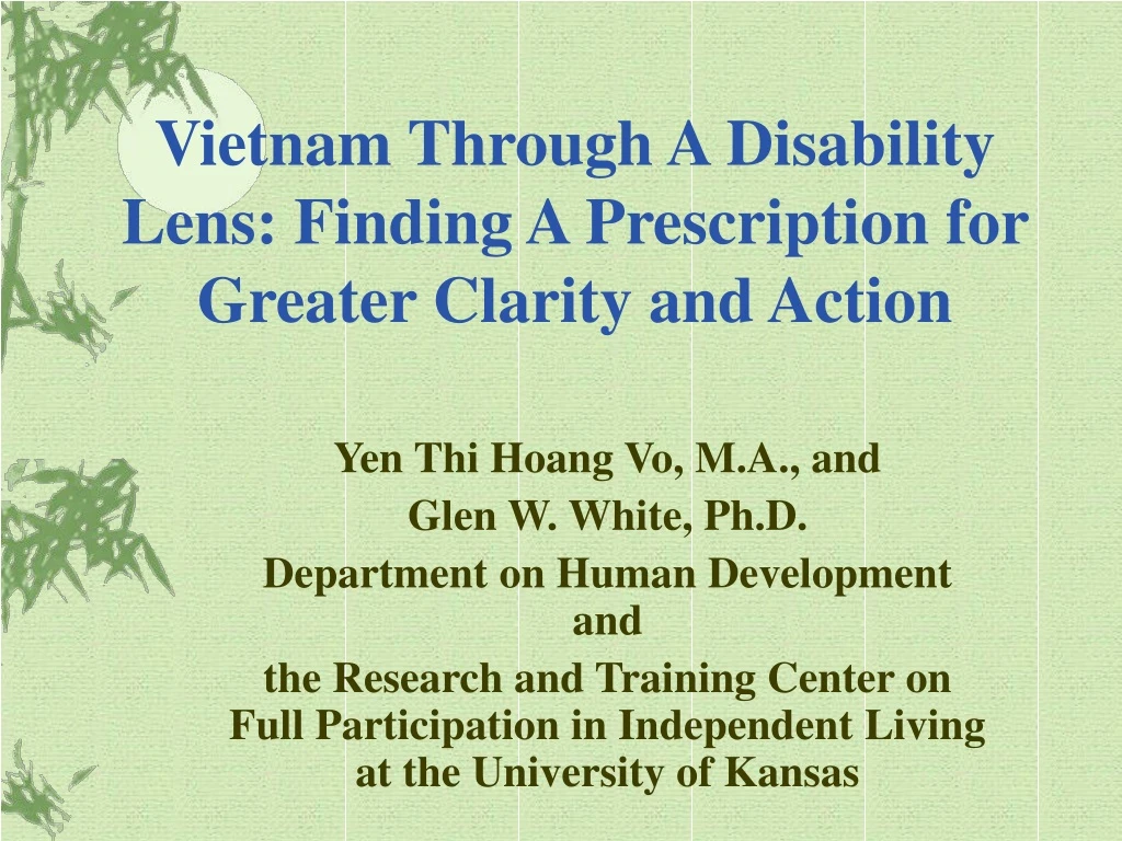 vietnam through a disability lens finding a prescription for greater clarity and action