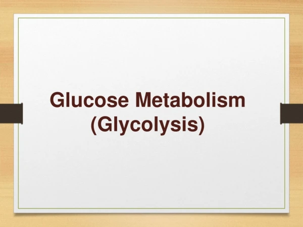 Glucose Metabolism (Glycolysis)