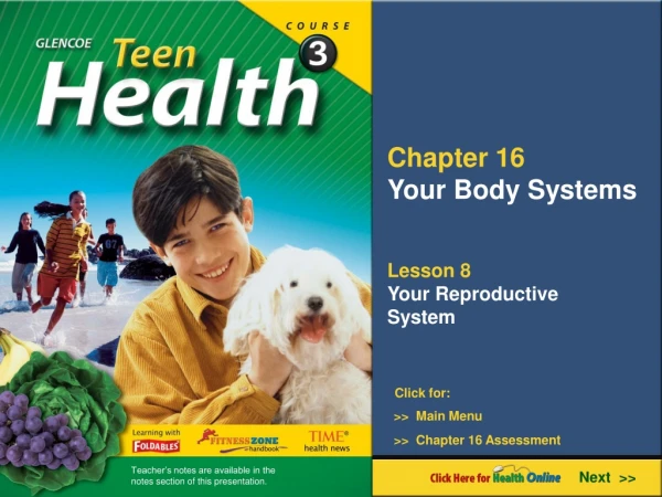 Chapter 16 Your Body Systems