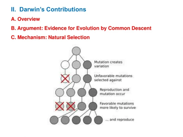 II.  Darwin’s Contributions A. Overview B. Argument: Evidence for Evolution by Common Descent