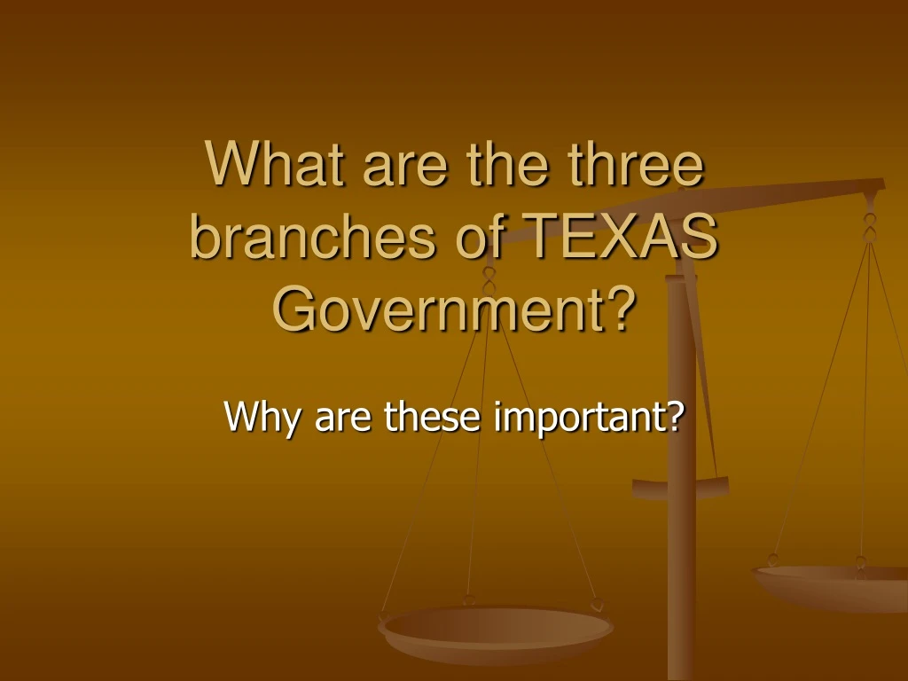 what are the three branches of texas government