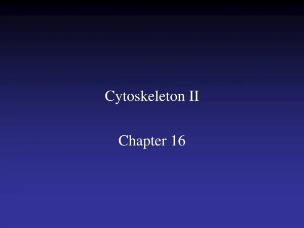 Cytoskeleton II