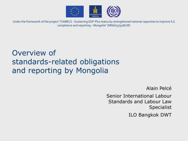 Overview of  standards-related obligations and reporting by Mongolia
