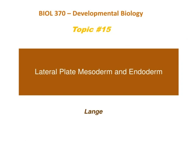 Lateral Plate Mesoderm and Endoderm