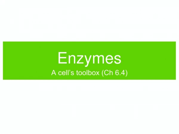 Enzymes