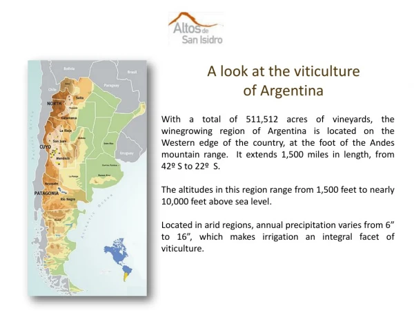 A look at the viticulture  of Argentina