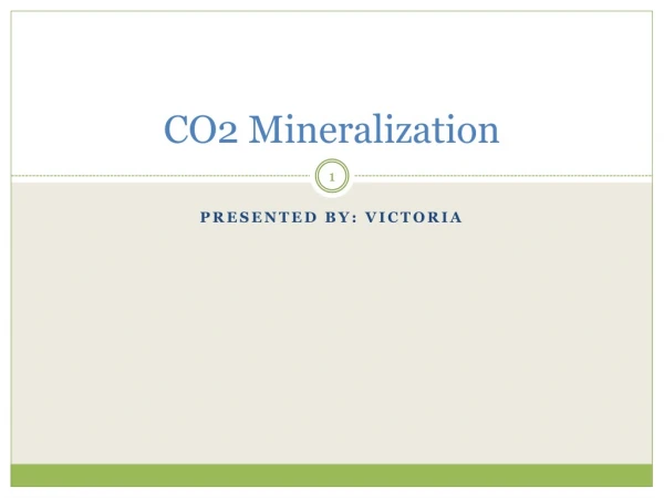 CO2 Mineralization