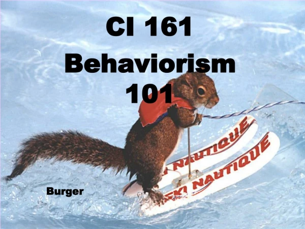 CI 161 Behaviorism 101 Burger