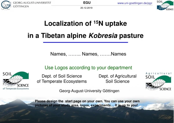 Localization of  15 N  uptake  in a Tibetan alpine  Kobresia  pasture
