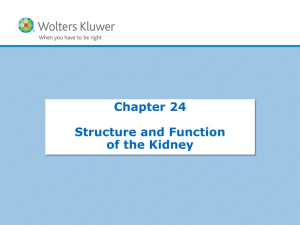 Chapter  24 Structure and Function of the Kidney