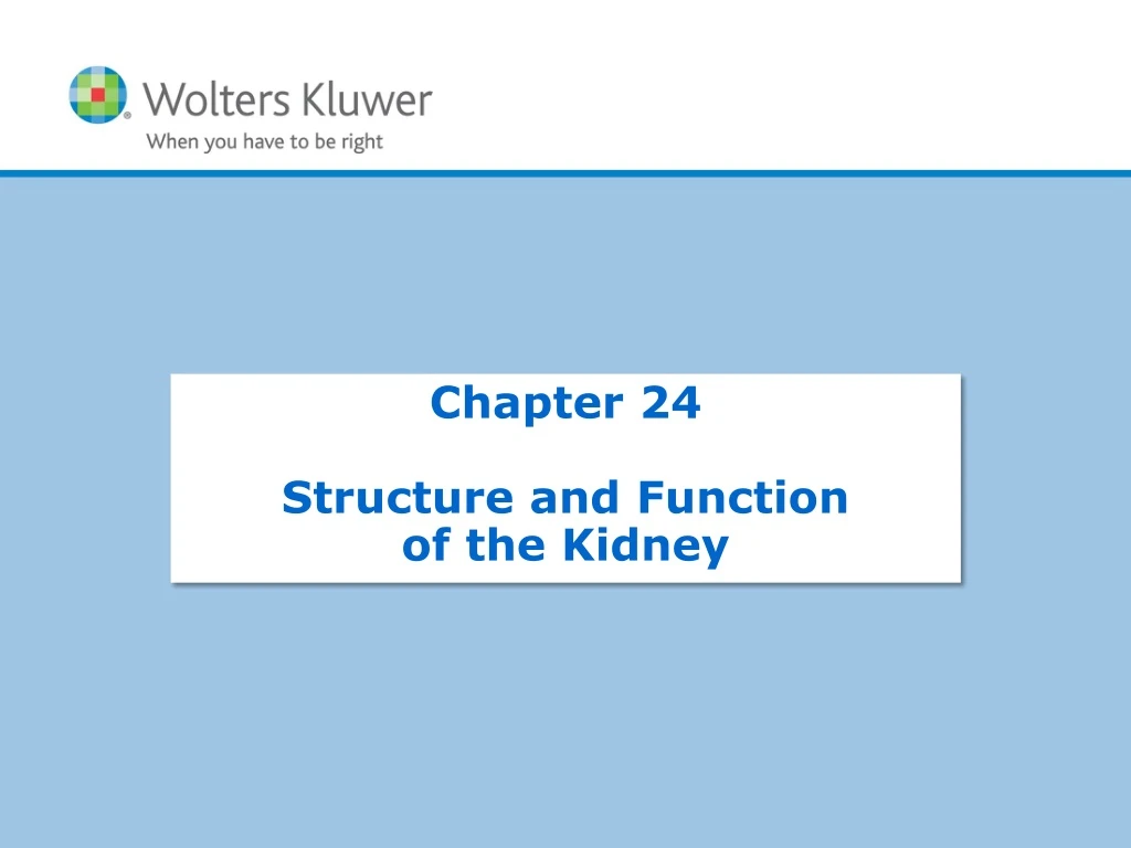 chapter 24 structure and function of the kidney