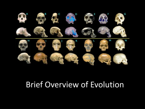 Brief Overview of Evolution