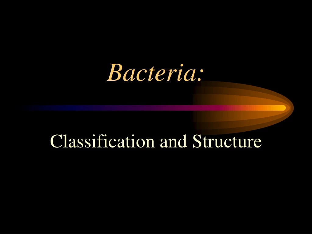 bacteria