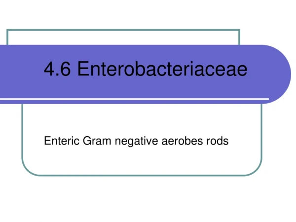 4.6 Enterobacteriaceae
