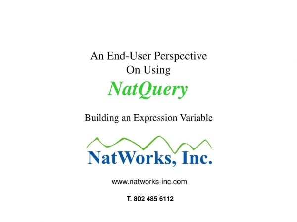 An End-User Perspective On Using NatQuery Building an Expression Variable