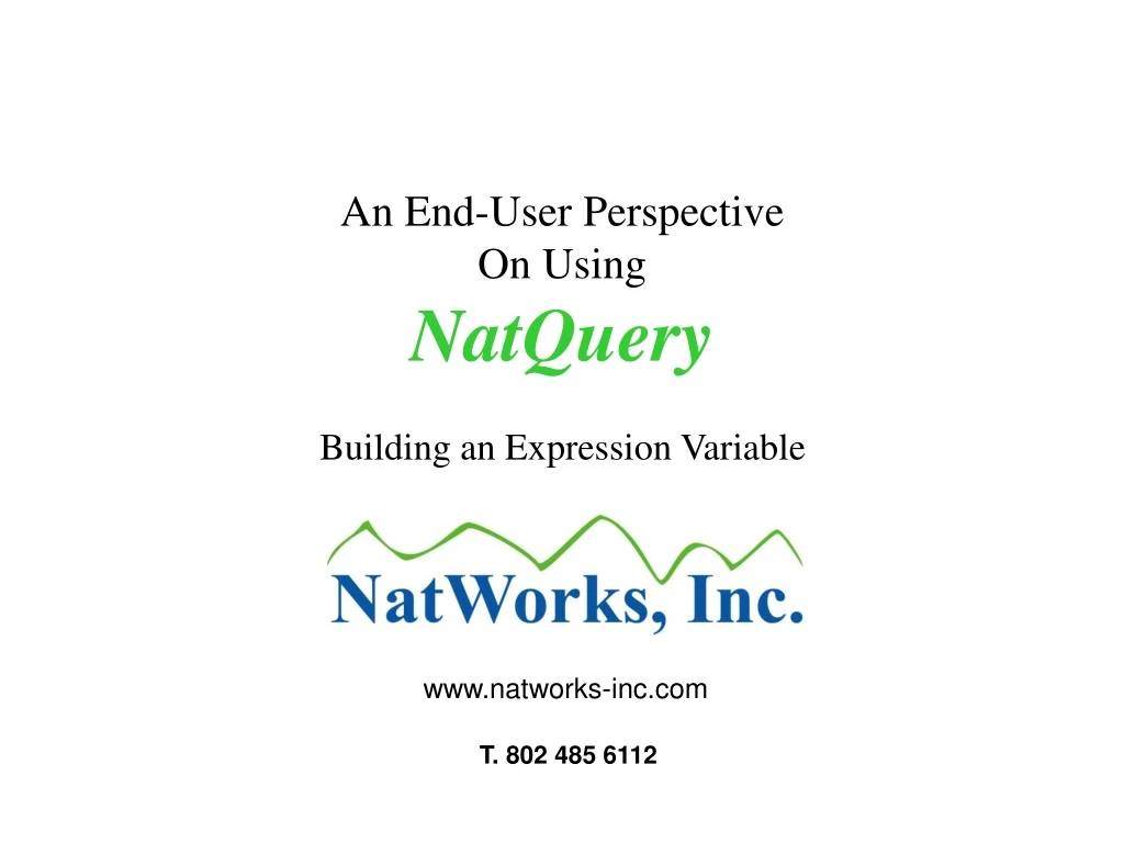 an end user perspective on using natquery