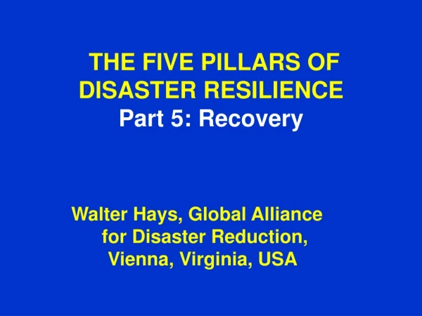 THE FIVE PILLARS OF  DISASTER RESILIENCE Part 5: Recovery