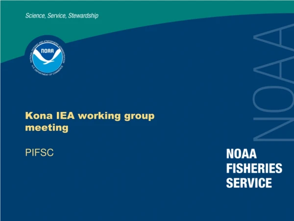 Kona IEA working group meeting