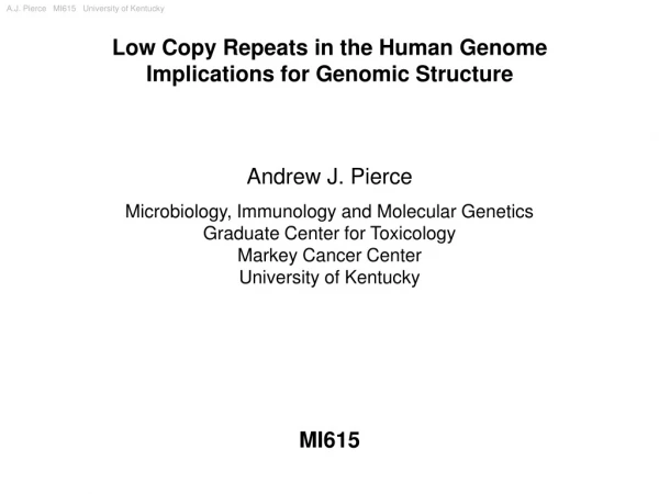 Low Copy Repeats in the Human Genome Implications for Genomic Structure