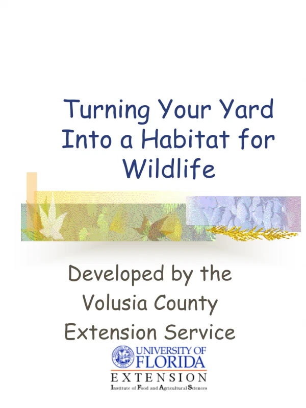 Turning Your Yard Into a Habitat for Wildlife