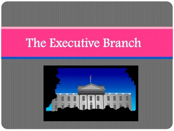 The Executive Branch