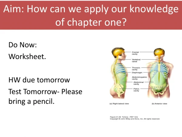 Aim: How can we apply our knowledge of chapter one?