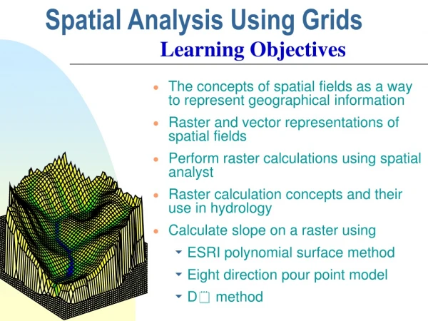 Spatial Analysis Using Grids