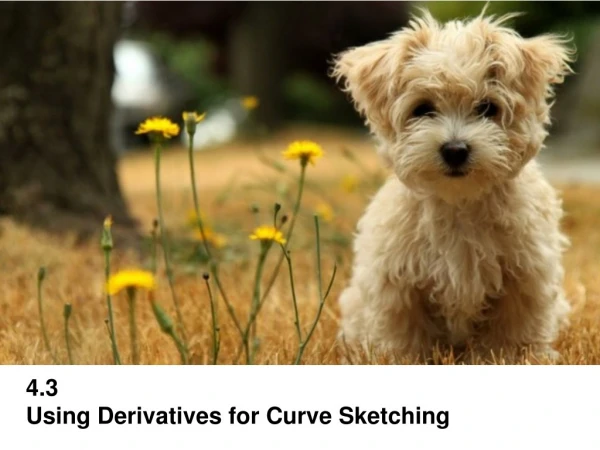 4.3 Using Derivatives for Curve Sketching