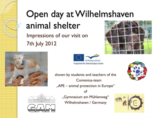 Open  day at  Wilhelmshaven  animal shelter