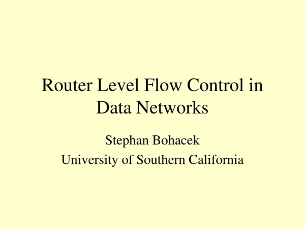 Router Level Flow Control in Data Networks