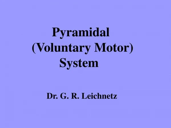 Pyramidal  				    (Voluntary Motor)  				  System 	 	     Dr. G. R. Leichnetz