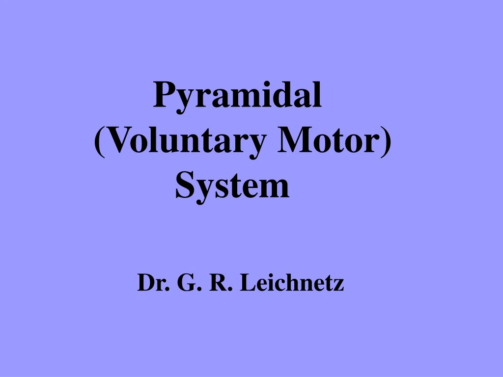 pyramidal voluntary motor system dr g r leichnetz