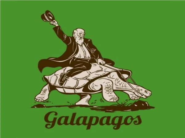 Galapagos Adaptations