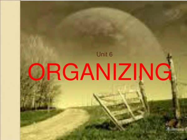Unit 6 ORGANIZING