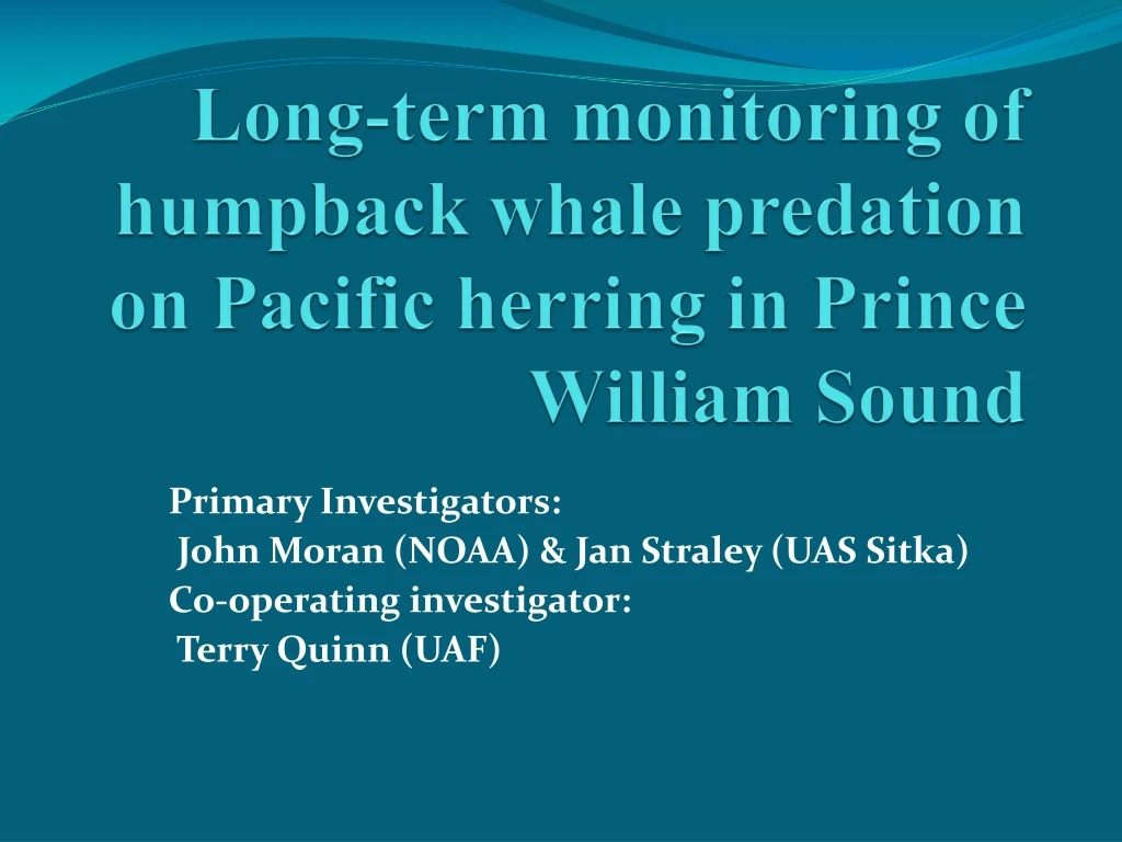 long term monitoring of humpback whale predation on pacific herring in prince william sound